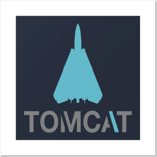 F-14 Tomcat Posters and Art